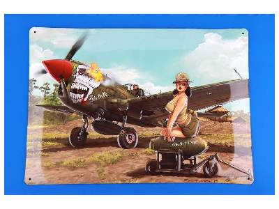 Warhawk 1/32 - image 12