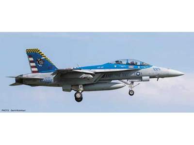F/A-18f Super Hornet Vx-23 Salty Dogs Limited Edition - image 1