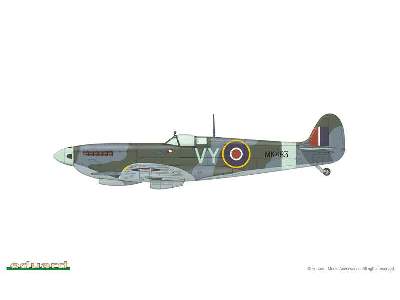 Spitfire Mk.IX - Czechoslovak pilots - Nasi se vraceji  - image 24