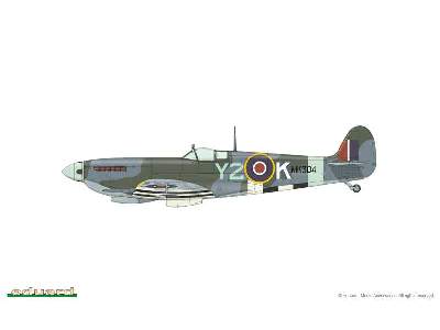 Spitfire Mk.IX - Czechoslovak pilots - Nasi se vraceji  - image 28