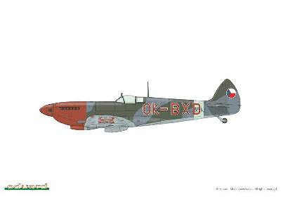 Spitfire Mk.IX - Czechoslovak pilots - Nasi se vraceji  - image 44