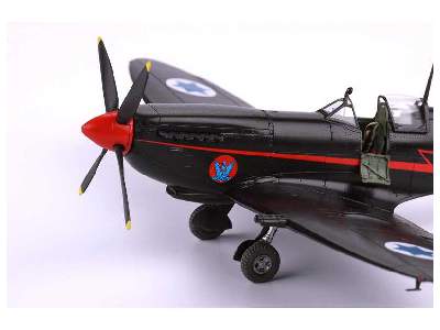 Spitfire Mk.IX - Czechoslovak pilots - Nasi se vraceji  - image 56