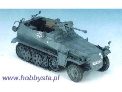 Sd.Kfz. 250/11 Ie SPW w/Panzerbüchse 41 - image 1