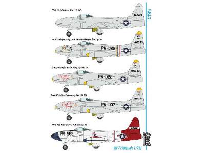 P-80A/B  - image 2