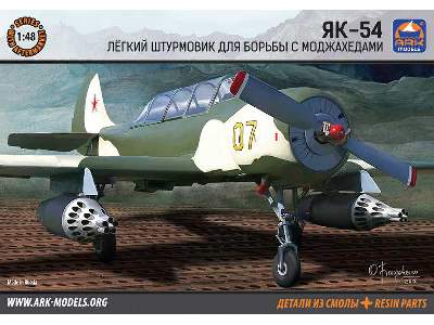 Light attack aircraft Yak-54 - image 1
