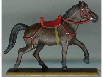 Imperial Roman Auxiliary Cavalry  - image 7