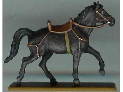 Imperial Roman Auxiliary Cavalry  - image 8