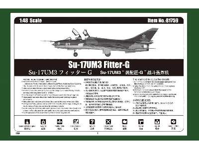 Su-17UM3 Fitter-G  - image 6