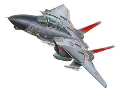 Grumman F-14 Tomcat "easykit" - image 1