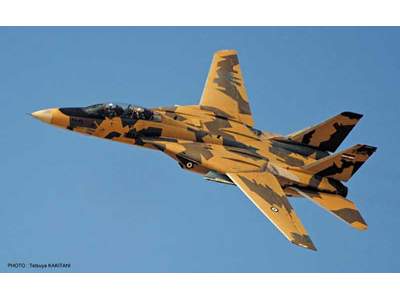 F-14a Tomcat Iranian Air Force New Desert Scheme - image 1