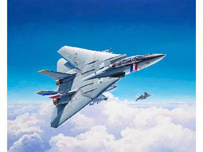 F-14D Super Tomcat - image 3
