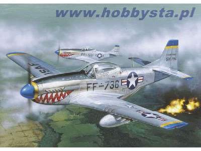 F-51D Mustang - image 1
