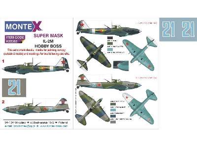 Il-2m Hobby Boss - image 1