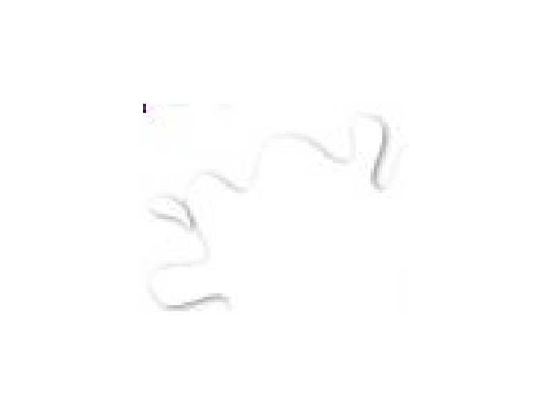 H011 White - F - flat - Hobby Color - image 1 H011 White - F - flat - Hobby Color - image 1