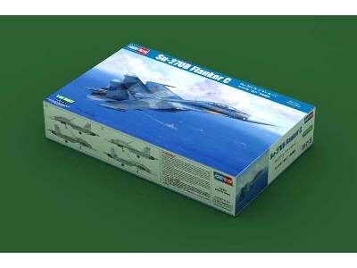 Su-27UB Flanker C - image 2