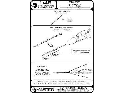Su-33 (Flanker D) - Rurka Pitota - image 5