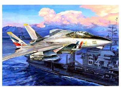 F-14D Super Tomcat - image 1