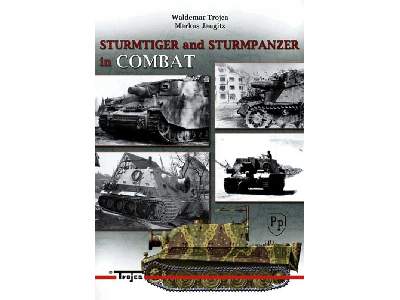 Sturmtiger And Sturmpanzer In Combat - image 1