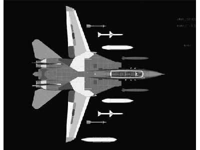 F-14D Super Tomcat - image 2
