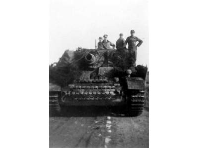 Sturmtiger And Sturmpanzer In Combat - image 5