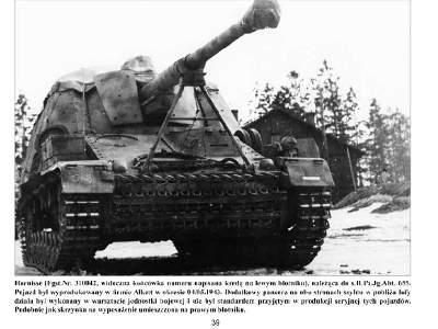 Hornisse-nashorn - image 4