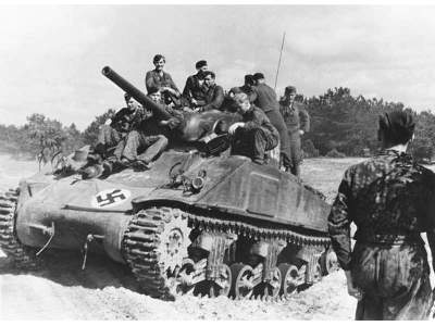 Dywizje Waffen SS Na Froncie Wschodnim 1943 - 1945 - Velimir Vuk - image 8