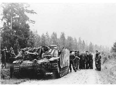 Dywizje Waffen SS Na Froncie Wschodnim 1943 - 1945 - Velimir Vuk - image 9