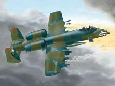 Fairchild A-10 Thunderbolt "easykit" - image 1