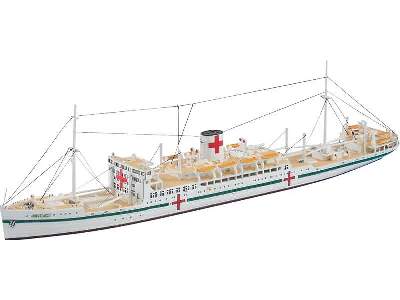 WL502 IJN Hospital Ship Hikawa Maru - image 1