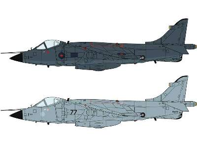 Sea Harrier FRS Mk.1 Falklands (2 kits)  - image 1