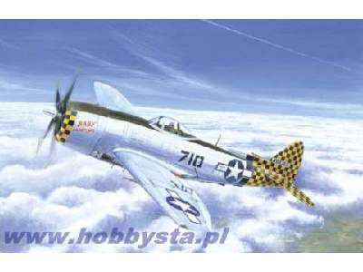 P-47 N Thunderbolt - image 1