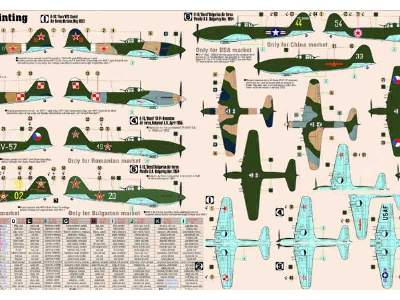 Ilyushin Il-10 Beast - image 2