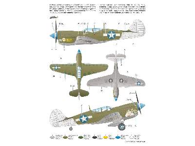 P-40N Warhawk - image 2