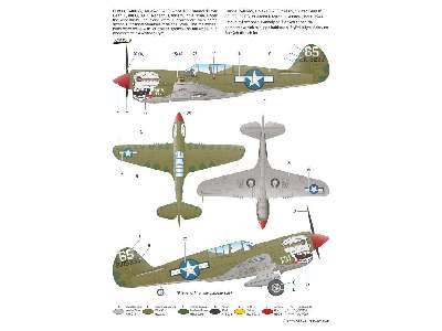P-40N Warhawk - image 3