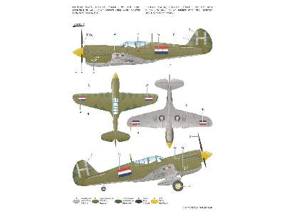P-40N Warhawk - image 4