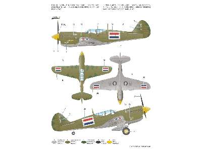 P-40N Warhawk - image 5