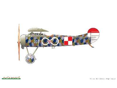 Fokker D. VIII 1/48 - image 4