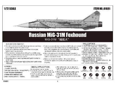 Russian MiG-31M Foxhound - image 6