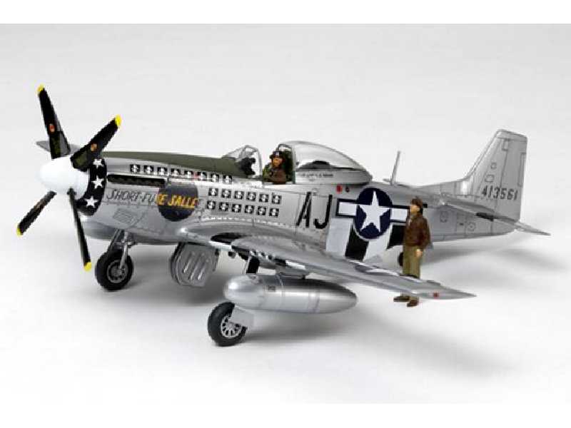 North American P-51D Mustang 9th AF fighter - image 1