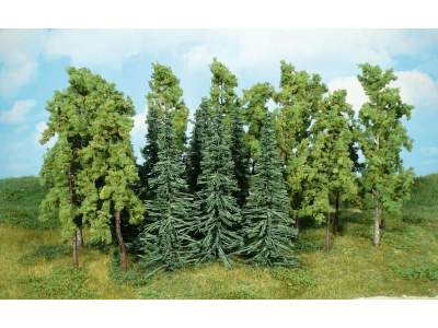 Deciduous trees - 14-16 cm - 12 pcs. - image 1
