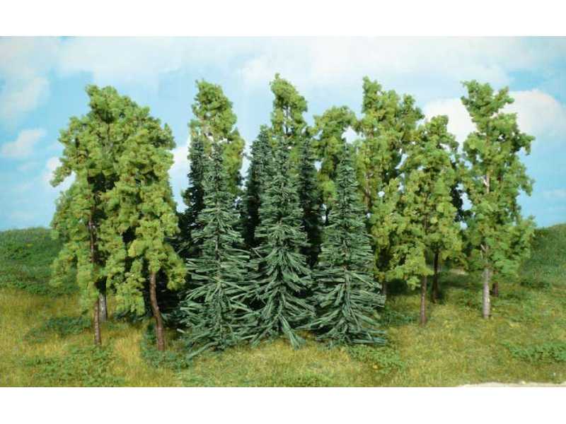 Deciduous trees - 14-16 cm - 12 pcs. - image 1