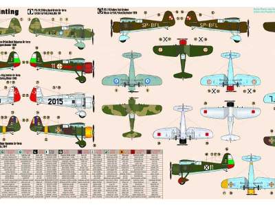 P-24 B/E/F/G Balkan Defender - image 5