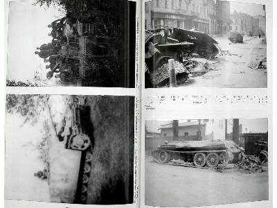 Stug.Abt./Brig. 210 - image 17