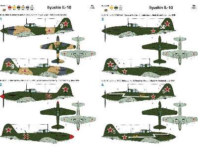 Ilyushin Il-10 Soviet service - image 12