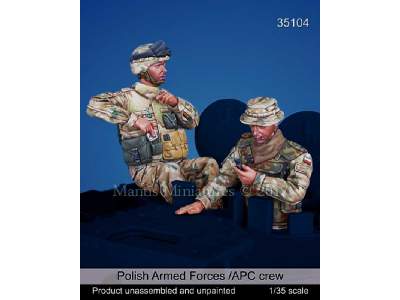 Polish Armed Forces /Apc Crew - image 1