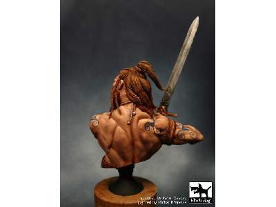 Celtic Warrior - image 2