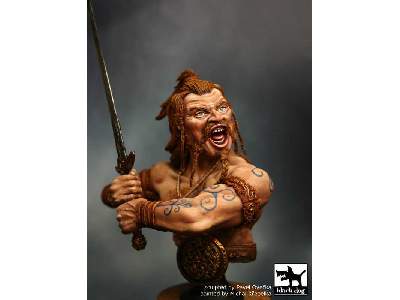 Celtic Warrior - image 4