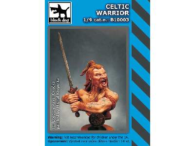 Celtic Warrior - image 5