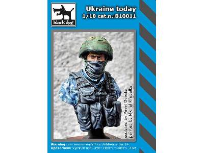 Ukraine Today - image 4