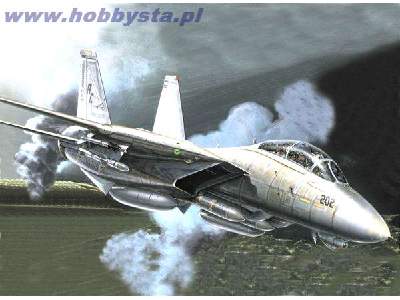 F-14 A Tomcat Plus - image 1